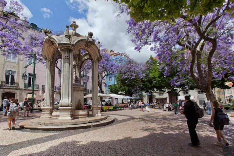 Plaza histórica con fuente de piedra y jacarandás en flor cerca del Lisboa Carmo Hotel
