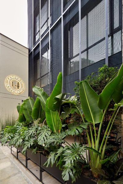 Fachada exterior del 14 Urban Hotel con jardín de plantas tropicales y monstera a la entrada