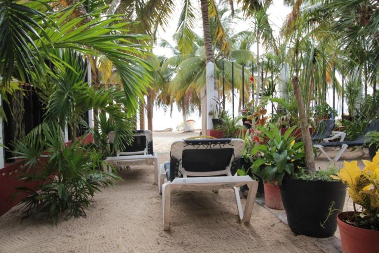 Tumbonas blancas rodeadas de palmeras y plantas tropicales en la playa de Villas Roseliz