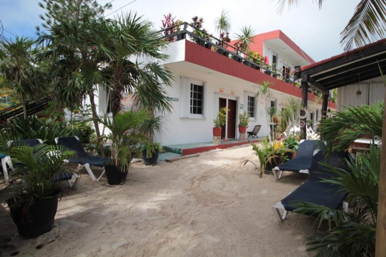 Jardín exterior con tumbonas y palmeras frente a Villas Roseliz, con terraza superior y vegetación tropical
