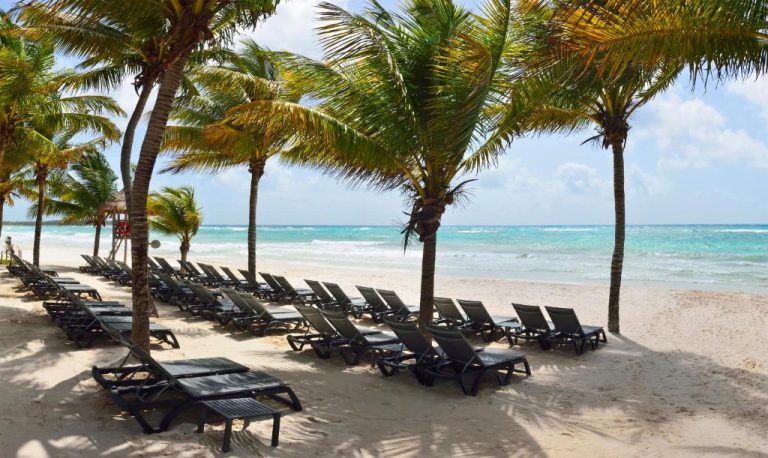 Hamacas frente al mar con palmeras en la playa del Catalonia Royal Tulum Beach & Spa Resort