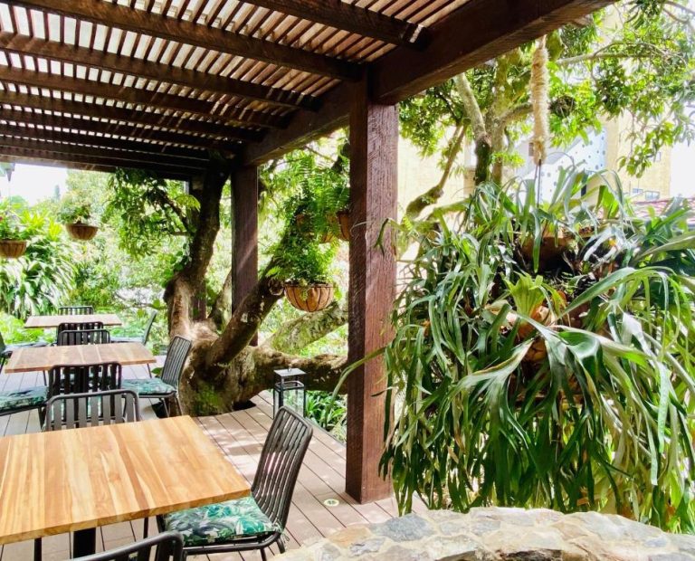 Terraza exterior con pérgola de madera y vegetación tropical del hotel Patio del Mundo