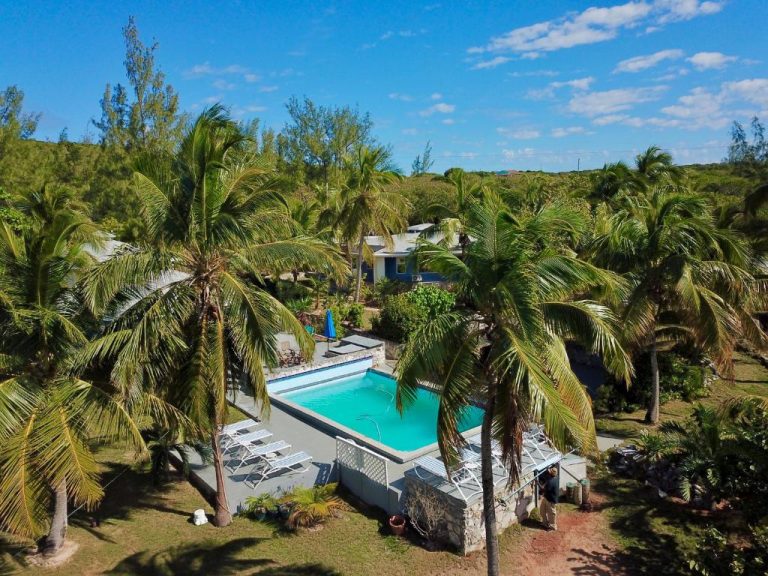 Piscina exterior rodeada de palmeras tropicales en The Sunset Cove and Rainbow Room