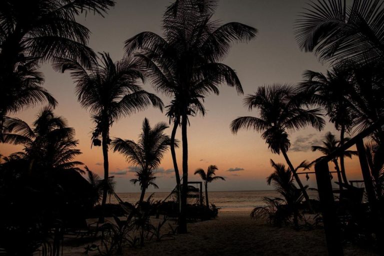 Atardecer entre palmeras con vistas al mar en el hotel Los Arrecifes, ambiente tropical en la playa