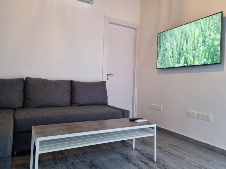 Salón moderno con sofá gris, mesa de centro y televisor en Kamaroporta Luxury Apartments