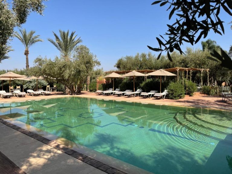 Piscina exterior con tumbonas y sombrillas rodeada de palmeras y olivos en Casa Abracadabra Marrakech