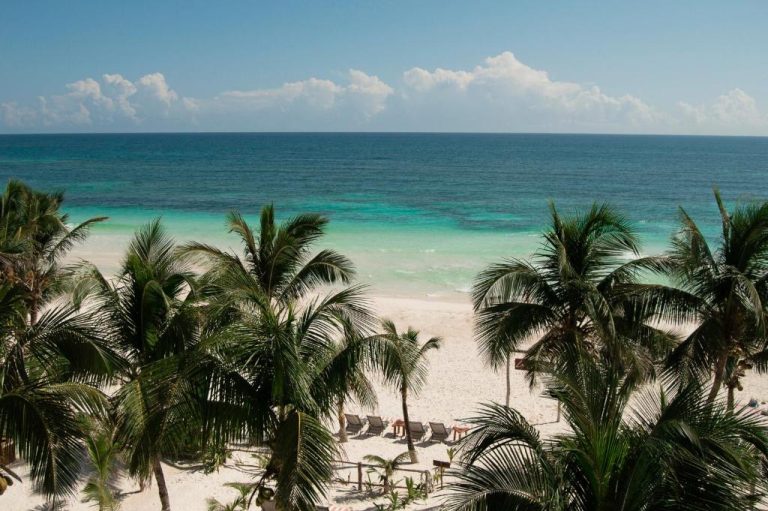 Vista panorámica de la playa blanca con palmeras y aguas turquesas del Hotel Los Arrecifes