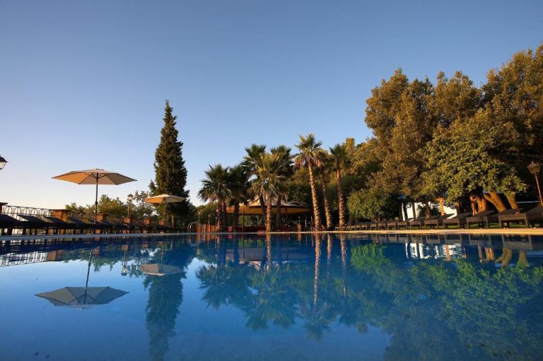 Piscina exterior con palmeras y tumbonas del Airone Wellness Hotel en un día soleado