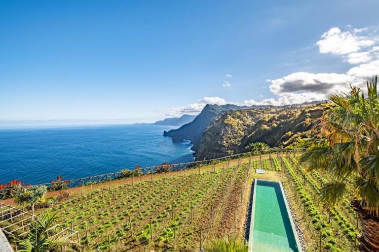 Piscina infinita con vistas al océano y viñedos del Hotel Quinta do Furao en Madeira