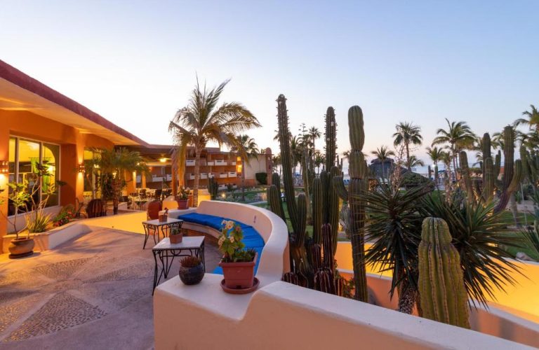 Terraza exterior con jardín de cactus y palmeras del hotel Posada Real Los Cabos al atardecer