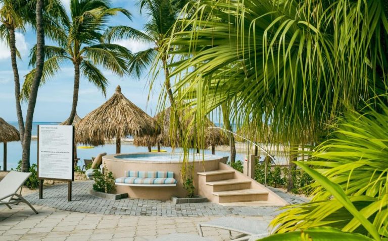 Jacuzzi exterior con palmeras y palapas frente a la playa del Renaissance Wind Creek Aruba Resort