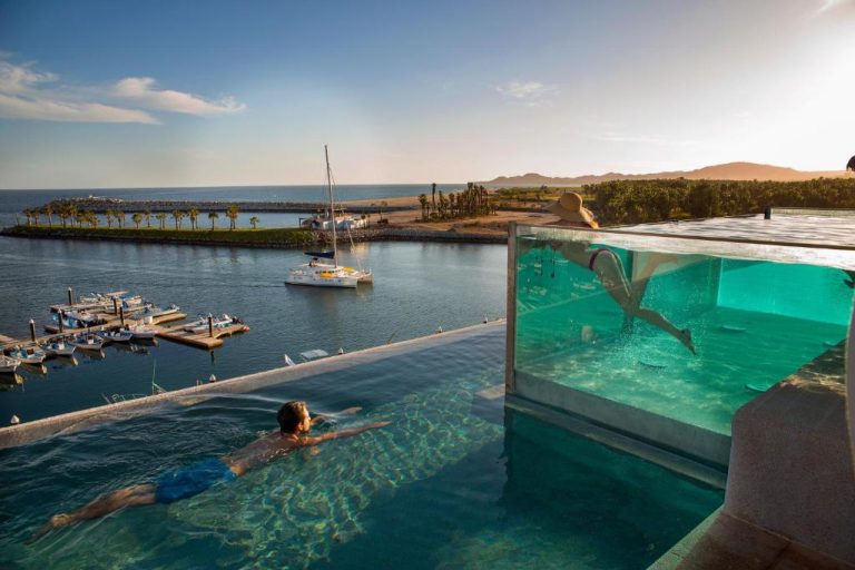 Piscina infinita con pared de cristal y vistas a la marina en Hotel El Ganzo Adults Only