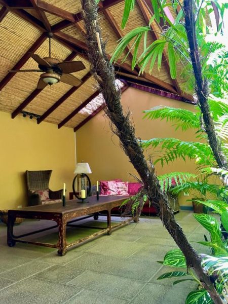 Sala interior con vegetación tropical y techo de bambú en Hotel 1915 Inn & Suites
