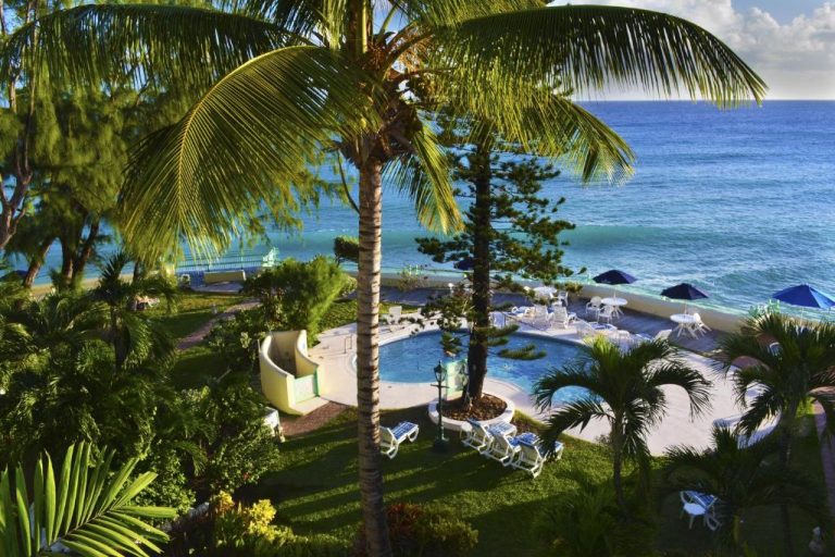 Piscina exterior con tumbonas y palmeras frente al mar en Blue Orchids Beach Hotel Barbados