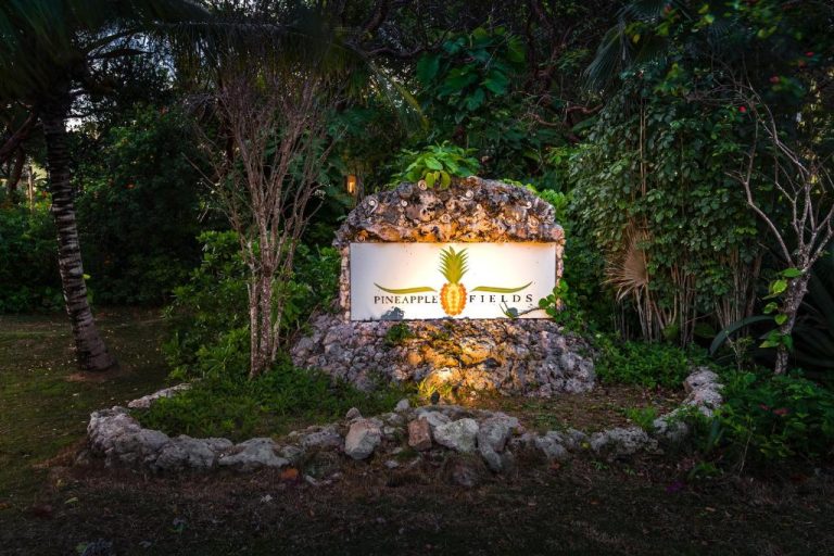 Cartel de entrada iluminado del hotel Pineapple Fields rodeado de vegetación tropical y piedras naturales