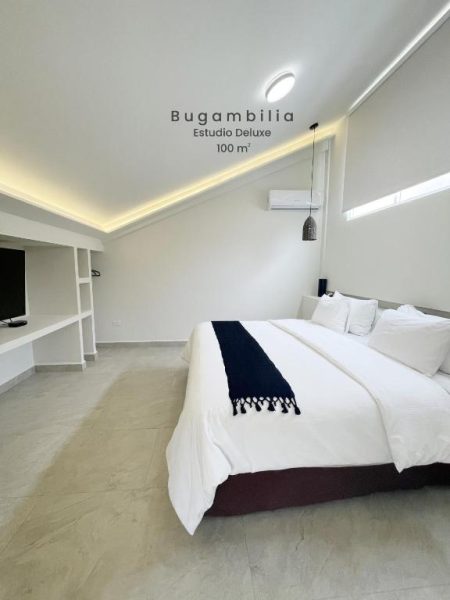 Estudio Deluxe Bugambilia de 100m² con cama king size y diseño minimalista en Marisol Hotel Boutique