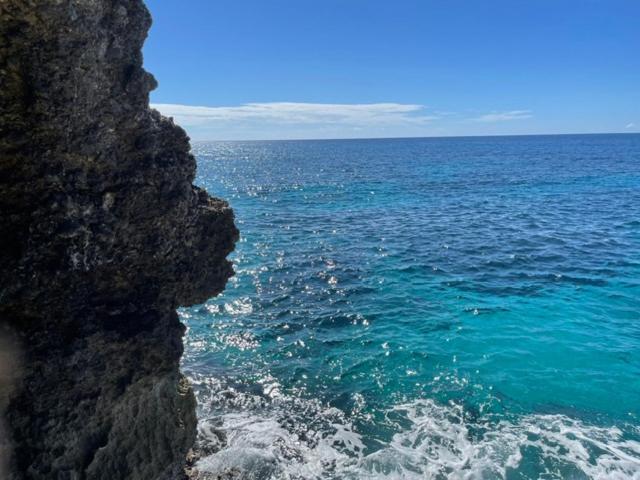Acantilado rocoso con vistas al mar turquesa cristalino del Catcha Falling Star en Jamaica