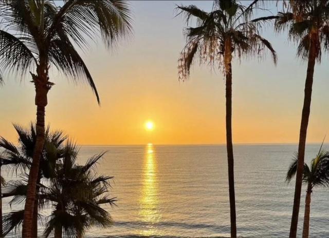 Espectacular atardecer sobre el mar con palmeras tropicales en el Hotel Sauza