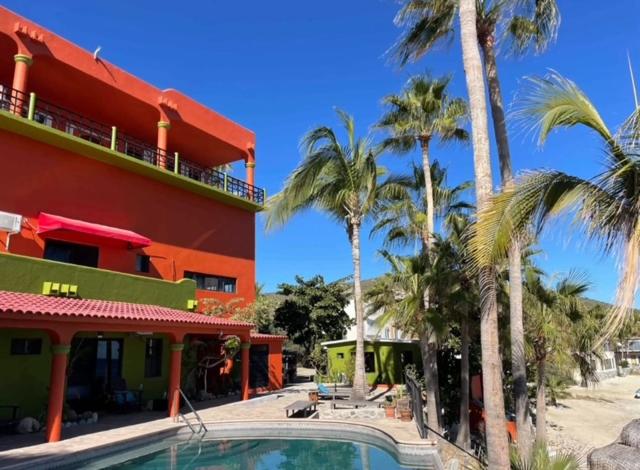 Piscina exterior rodeada de palmeras y fachada colorida del Hotel Sauza bajo cielo azul