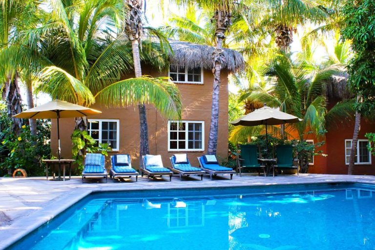 Piscina exterior con tumbonas y palmeras tropicales en The Bungalows Hotel