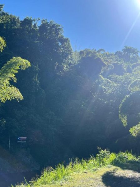 Exuberante entorno natural con bosque tropical y bandera en Hacienda Villa Sotomayor Puerto Rico