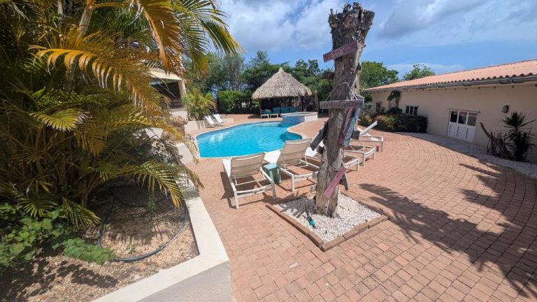 Piscina exterior con tumbonas y palapa en Home Sweet Home Jan Thiel Curacao con jardín tropical