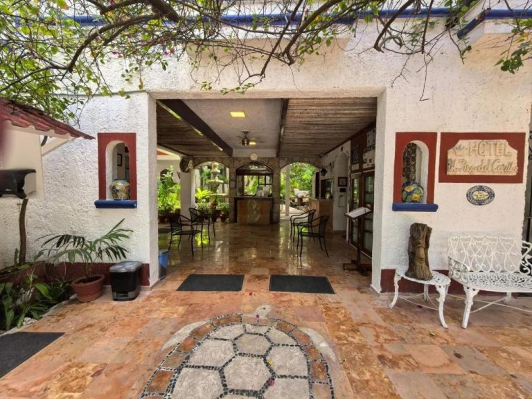 Entrada principal y lobby del Eco-hotel El Rey del Caribe con jardín tropical y mosaico de tortuga