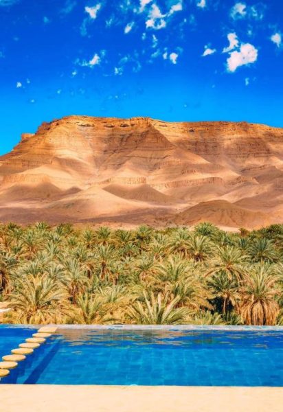 Piscina infinita del Kasbah Hnini con oasis de palmeras y montañas rocosas del desierto al fondo