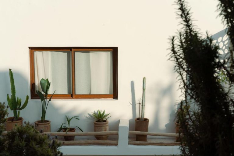 Fachada exterior blanca del Riad Rahal con ventana de madera y macetas de cactus decorativas