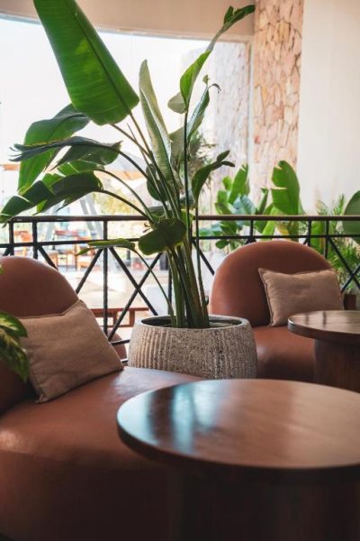 Zona lounge con sillones de terciopelo marrón y plantas tropicales en el hotel Ananea Hurghada Adults Only