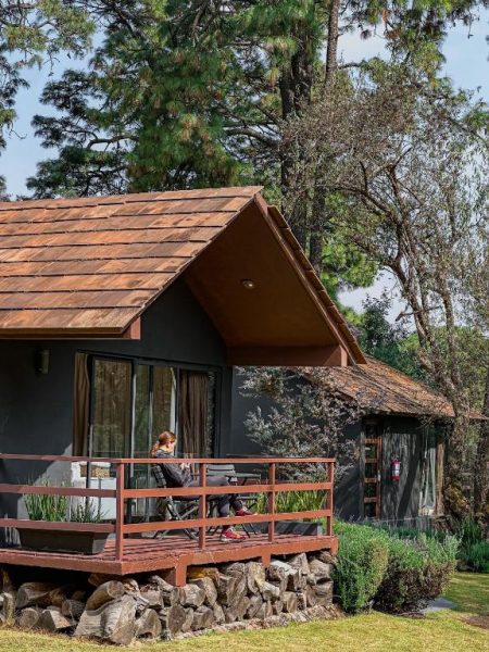 Cabaña con terraza de madera y techo de cobre rodeada de pinos en Orgánico Hotel Boutique