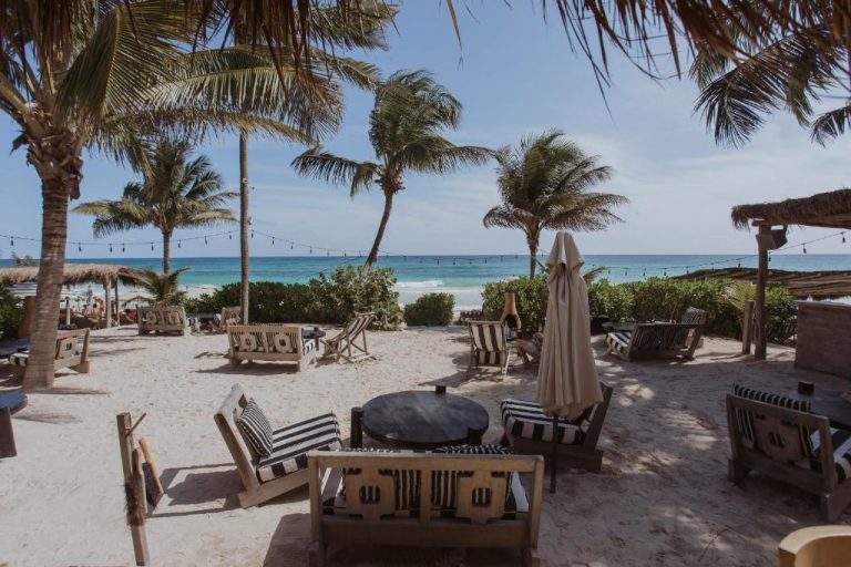 Terraza con tumbonas y mesas frente al mar turquesa en Hotel Panamera con palmeras y arena blanca
