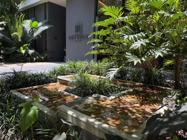 Jardín tropical con fuente decorativa de piedras y vegetación exuberante en la entrada del Lettera Hotel