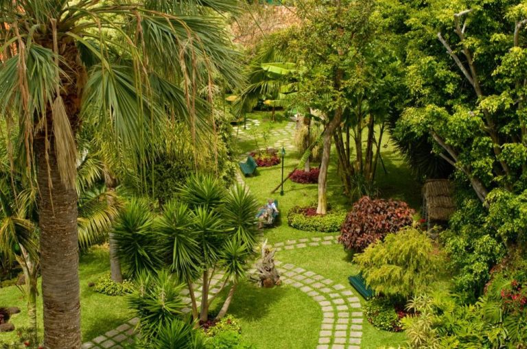 Jardín tropical con palmeras y sendero empedrado del Hotel Girassol Suite Hotel en Madeira
