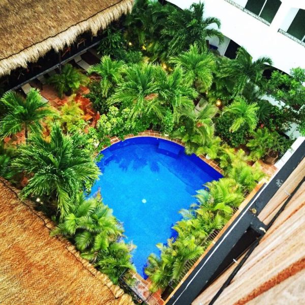 Piscina azul rodeada de palmeras tropicales en La Pasion Colonial Hotel Boutique By Bunik