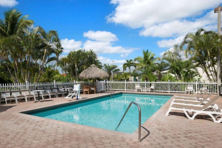 Piscina exterior con tumbonas y palmeras tropicales del Travelodge by Wyndham Florida City Everglades