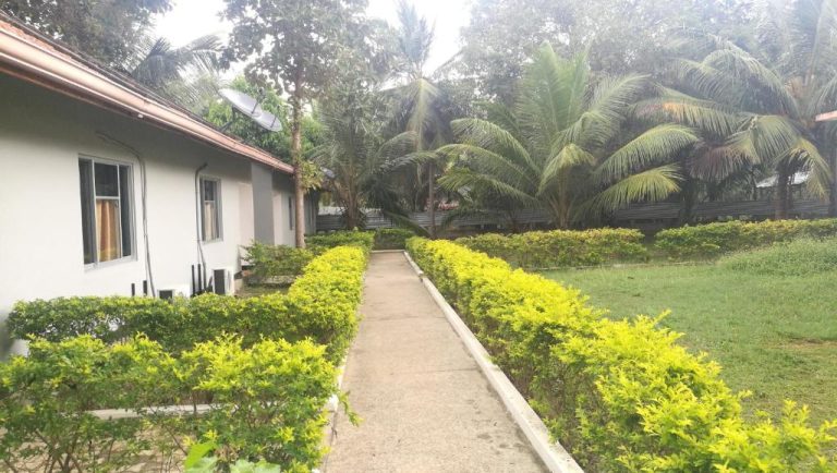 Sendero central rodeado de jardines y palmeras tropicales en el hotel Friends Paradise
