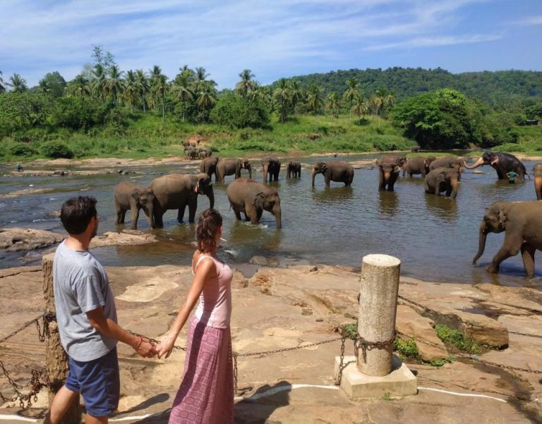 Pareja observando el baño de elefantes en el río junto al Hotel Elephant Park rodeado de selva tropical
