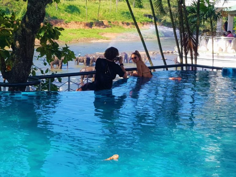 Piscina infinita del Hotel Elephant Park con vistas a elefantes bañándose en el río