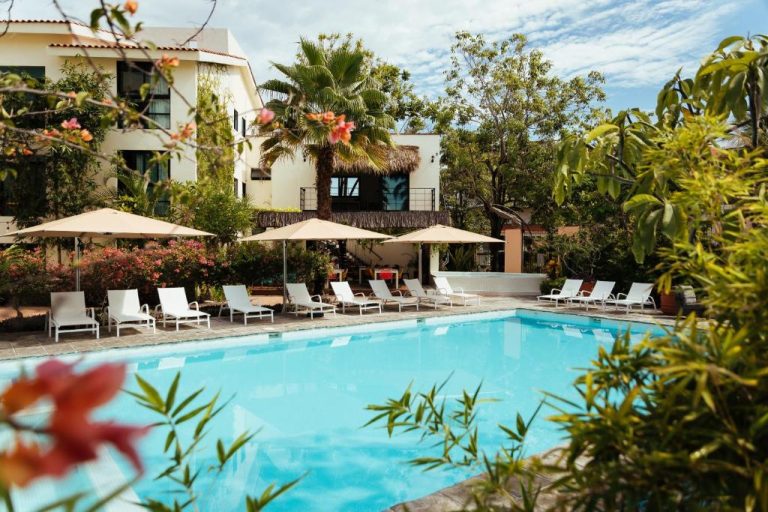Piscina exterior con tumbonas y sombrillas del San Trópico Boutique Hotel rodeada de jardines tropicales