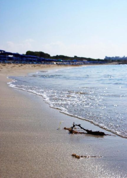 Orilla de la playa con arena dorada y aguas cristalinas del So Nice Beach Resort
