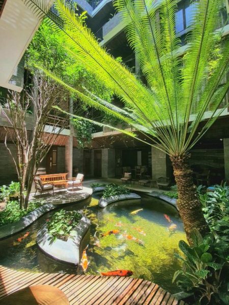 Jardín interior con estanque de peces koi y palmeras tropicales en el Hotel Minh Boutique