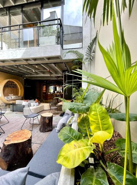 Terraza lounge con vegetación tropical y mobiliario moderno en el hotel Beminimal Parques