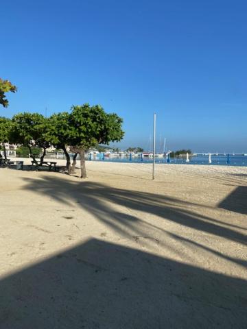 Playa de arena blanca con cancha de voleibol y palmeras en Ocho Rios Vacation Resort Jamaica