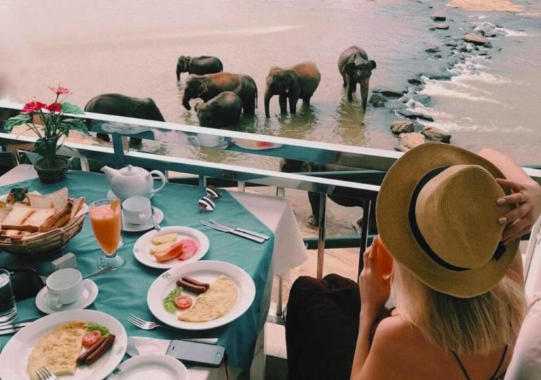 Desayuno en terraza del Hotel Elephant Park con vistas a elefantes bañándose en el río