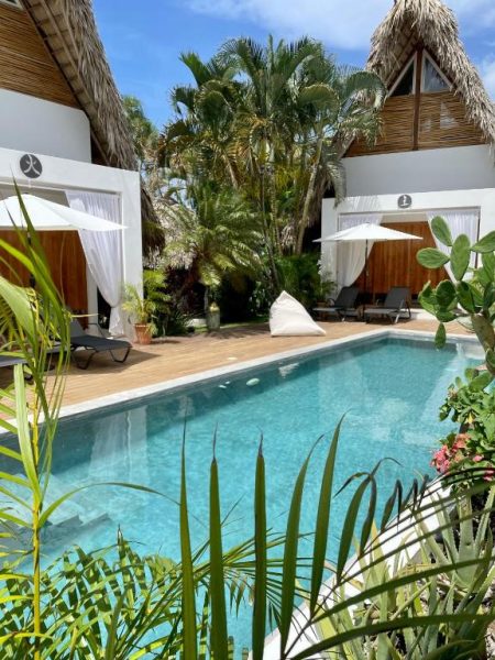 Piscina exterior rodeada de vegetación tropical en el Leeloo Boutique Hotel con tumbonas y sombrillas