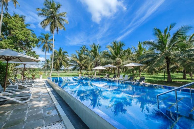 Piscina exterior rodeada de palmeras tropicales y tumbonas en The Notary's House