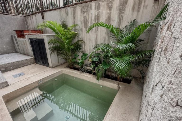Pequeña piscina privada con jardín tropical en Casa Kobaab Tulum, rodeada de palmeras y muros de concreto