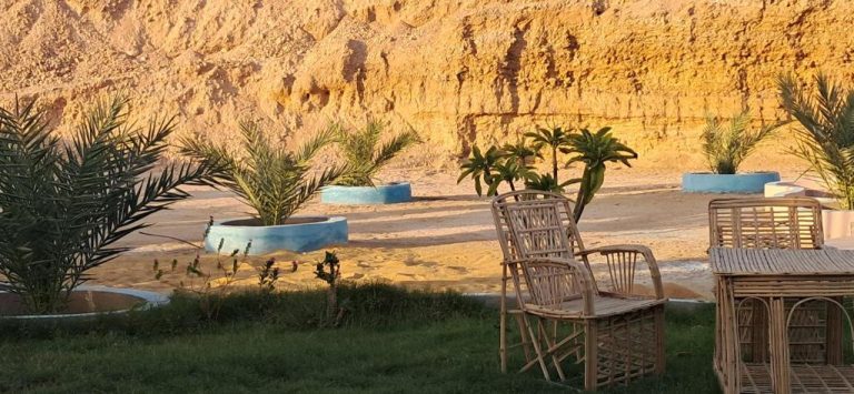 Jardín exterior con sillas de mimbre y palmeras frente al desierto en Aton Palace Luxor