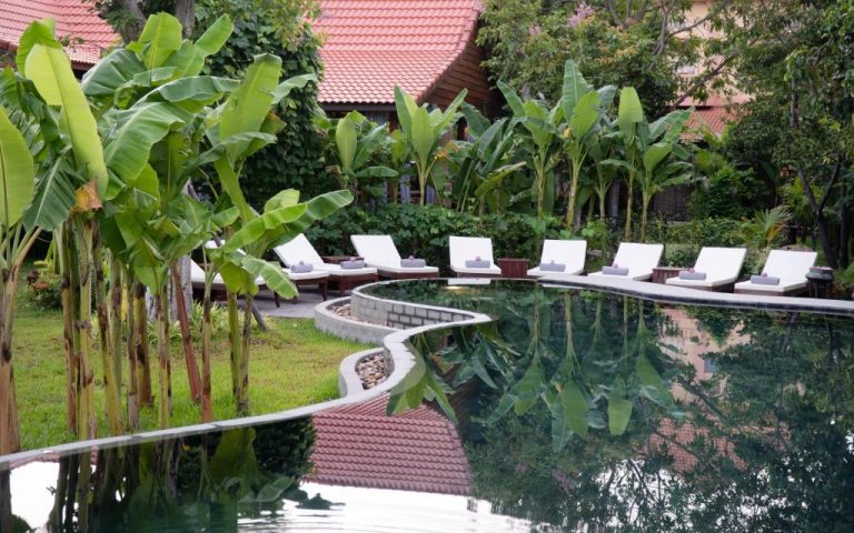 Piscina exterior con tumbonas blancas y jardín tropical de palmeras en The Jungle Hotel